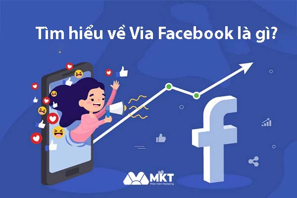 Via Facebook là gì?