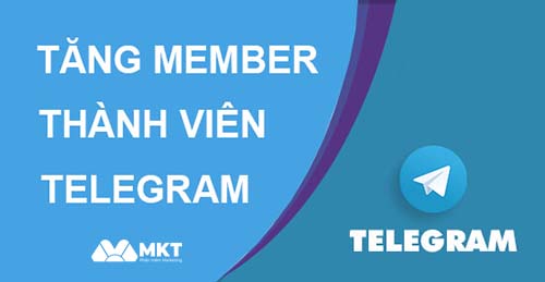 Tăng Member Telegram
