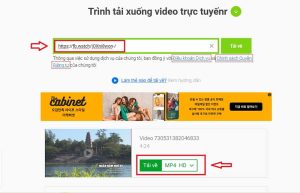 Tải video Facebook về máy tính bằng Savefrom.net 1