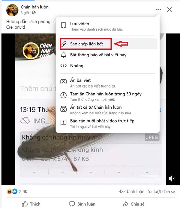 Sử dụng Snapsave để tải video Facebook về máy tính 