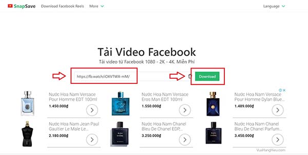 Sử dụng Snapsave để tải video Facebook về máy tính 1