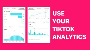 Tiktok analytics
