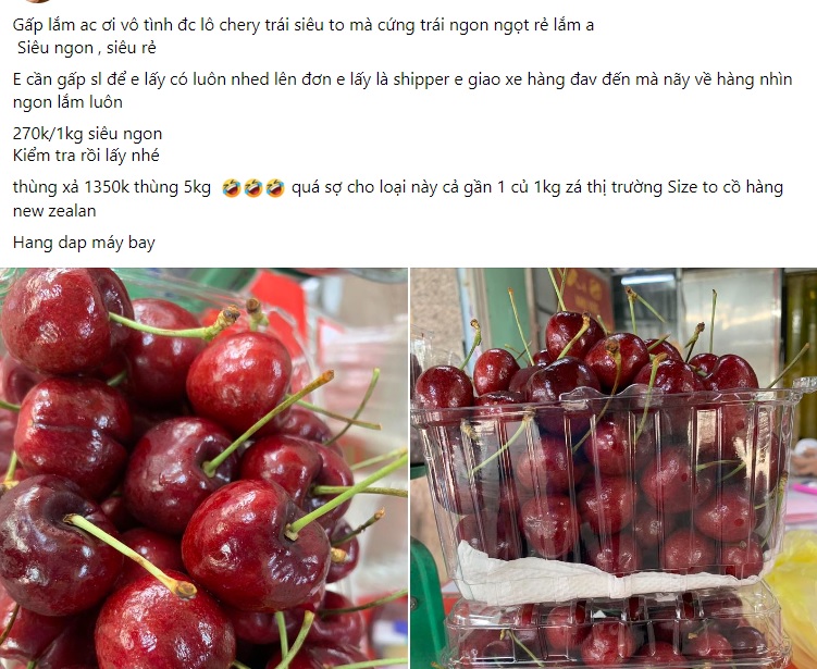 mẫu content trái cây 1