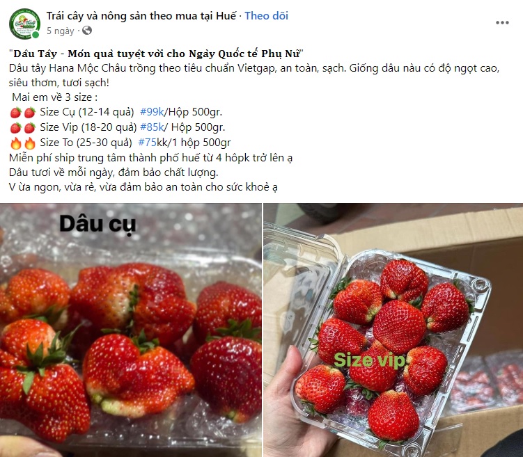 mẫu content trái cây 5