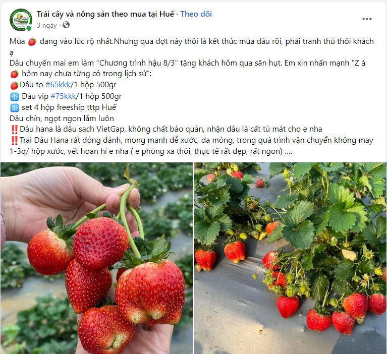 mẫu content trái cây 8