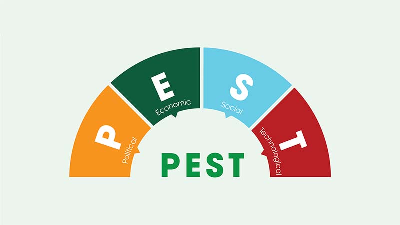 Mô hình PEST