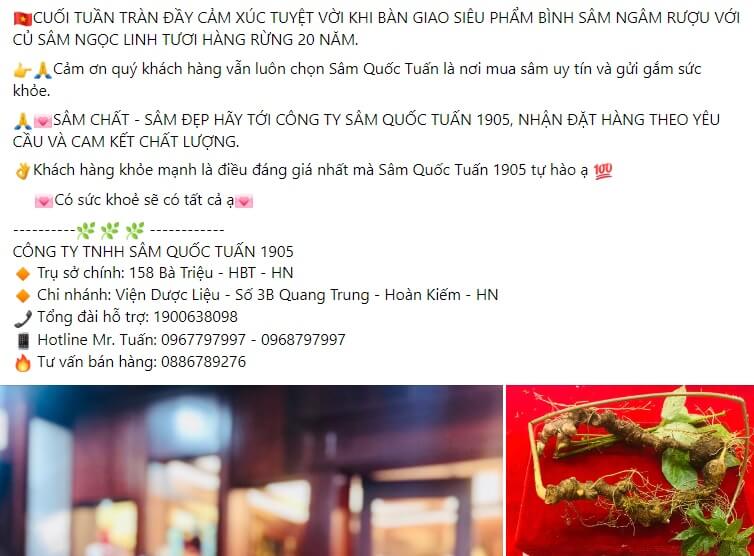 Mẫu bài viết quảng cáo rượu Sâm Việt 1