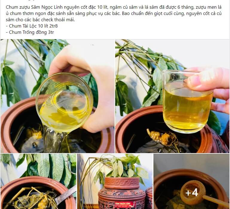 Mẫu bài viết quảng cáo rượu Sâm Việt 2