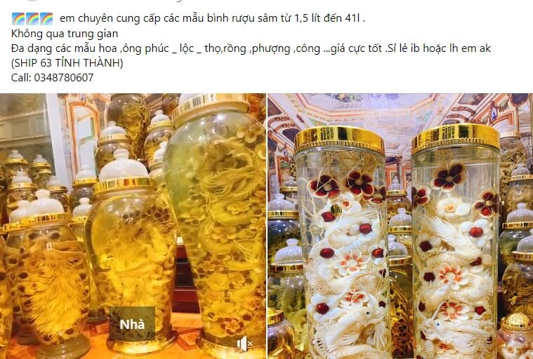 Mẫu bài viết quảng cáo rượu Sâm Việt 