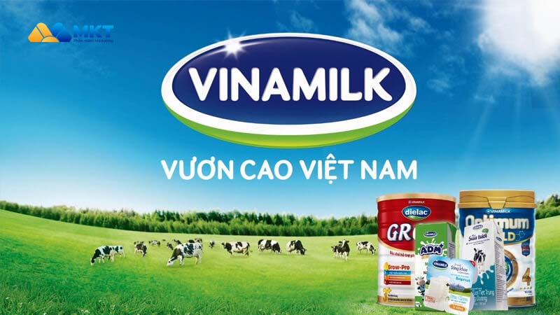 Phân tích ma trận efe của vinamilk