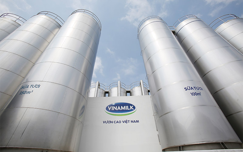 Phân tích ma trận EFE của vinamilk