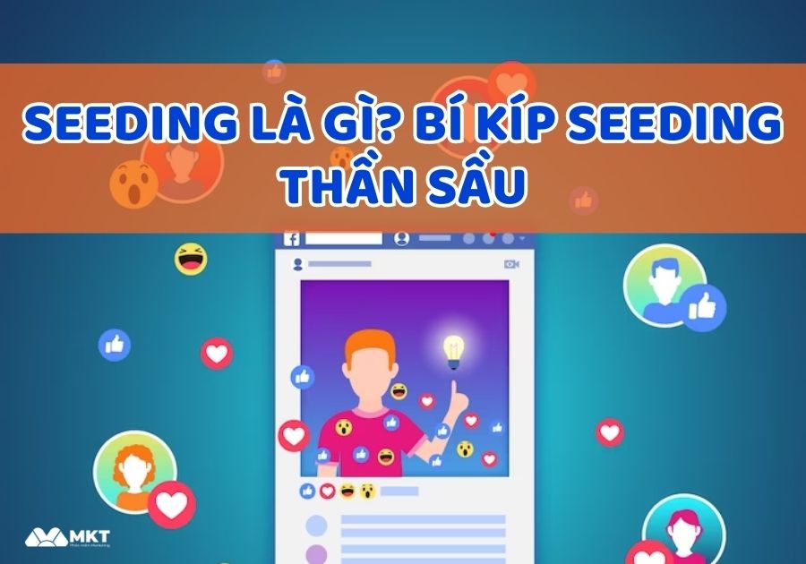 Đi seeding là gì?