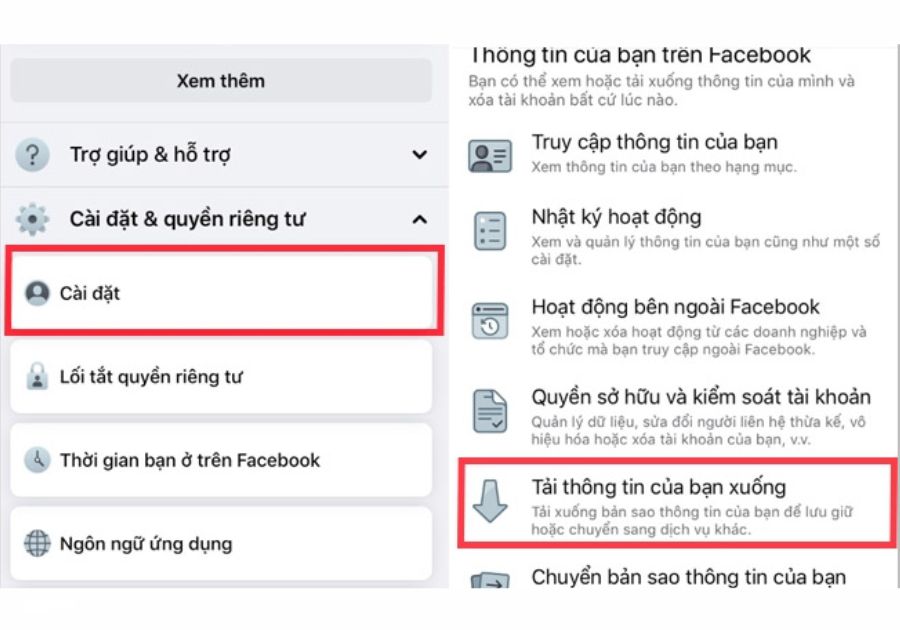 Vào Cài đặt > Tải thông tin của bạn xuống