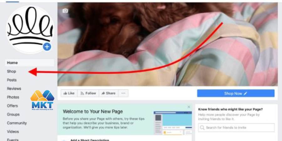 Đăng nhập vào trang Facebook và thiết lập Cửa hàng.