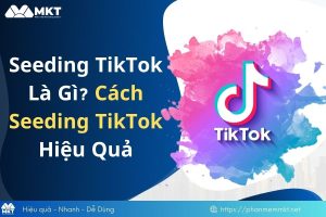 Seeding TikTok là gì?