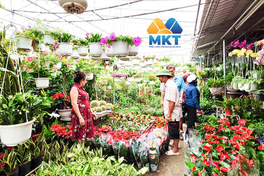 Bán cây cảnh trang trí ngày Tết