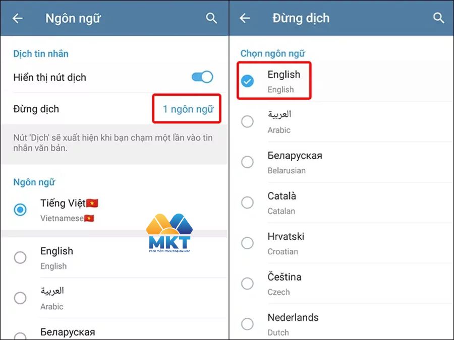 Cách bật tính năng dịch tin nhắn trên Telegram