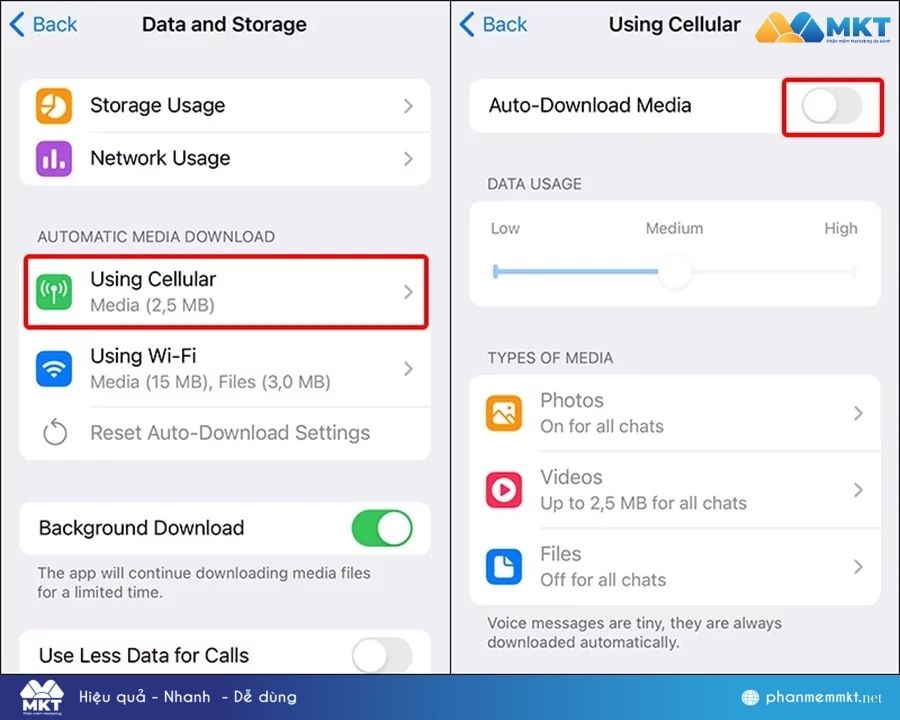 Cách tắt tự tải video trên Telegram về điện thoại Iphone