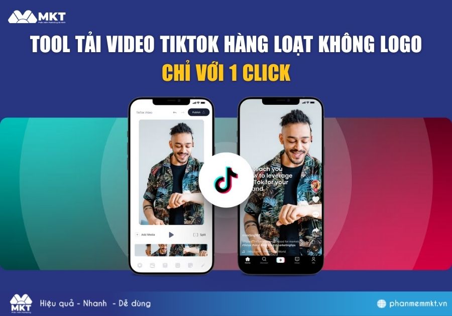 Tool Tải Video TikTok Hàng Loạt Không Logo Chỉ Với 1 Click