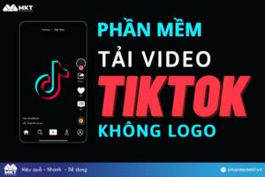 Phần mềm tải video TikTok không logo tự động