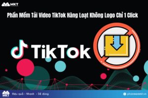 Phần Mềm Tải Video TikTok Hàng Loạt Không Logo Chỉ 1 Click