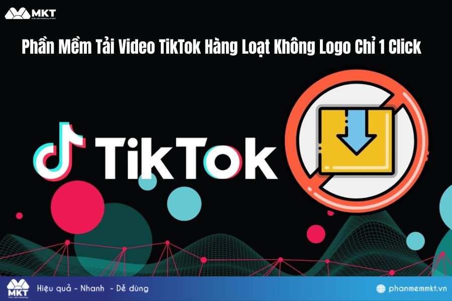 Phần Mềm Tải Video TikTok Hàng Loạt Không Logo Chỉ 1 Click