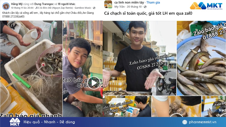 sở sỉ thủy sản sơ chế tại An Giang